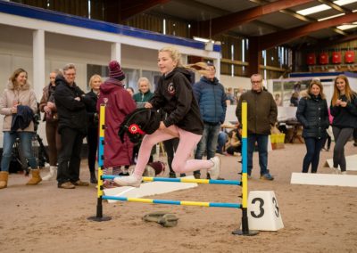 Hobby Horse Community